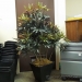 Artificial 4 foot Bracken Fern in Footed metal Container